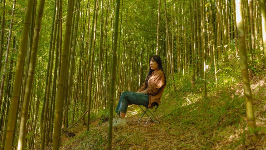 জাপানিরা কেন বন সময় কাটান, জেনে নিন কারণ