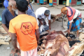 কোরবানির পশুর চামড়ার দাম বর্গফুটে বাড়ল ২-৩ টাকা, ঢাকা ও ঢাকার বাইরে কত