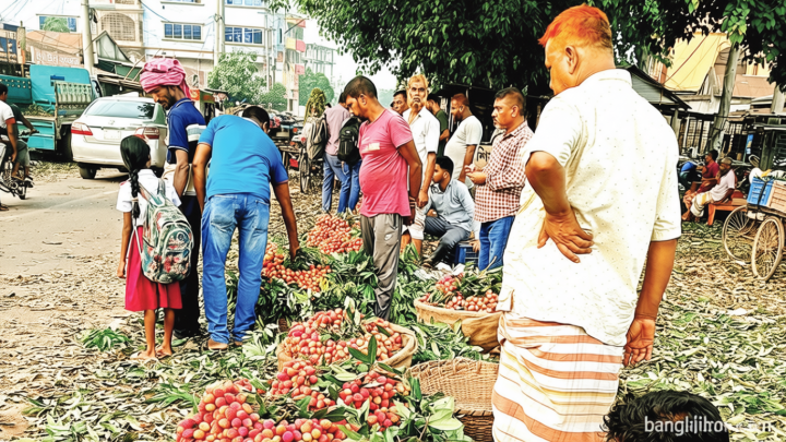 পাবনার ঈশ্বরদী: লিচুর সরবরাহ বাড়লেও ক্রেতা কম