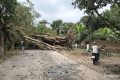 নওগাঁয় ঝড়ে লন্ডভন্ড বাড়িঘর-দোকানপাট
