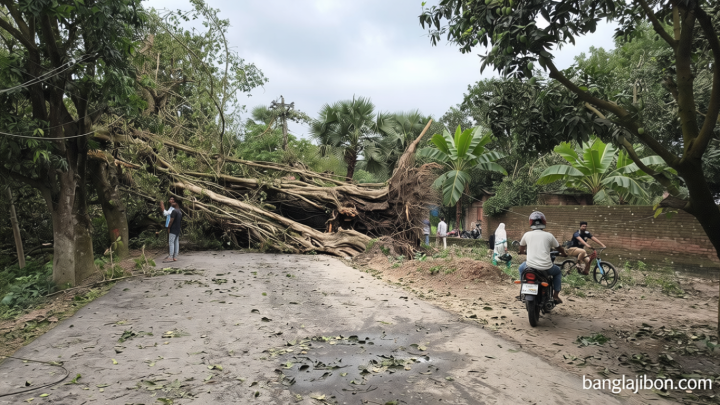নওগাঁয় ঝড়ে লন্ডভন্ড বাড়িঘর-দোকানপাট