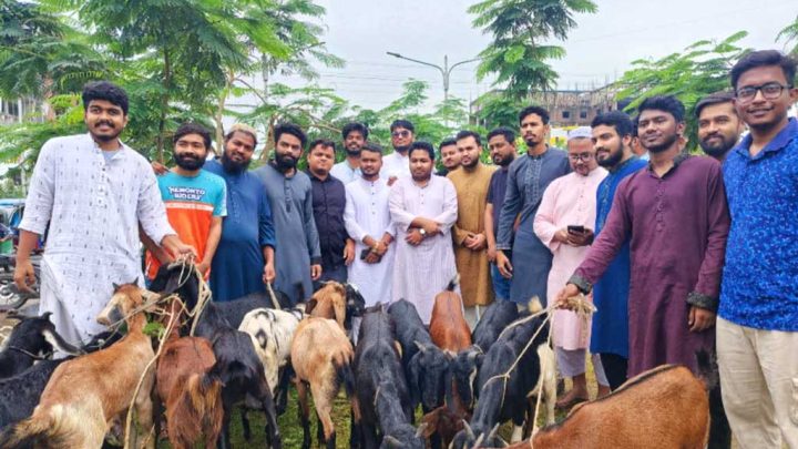 নারায়ণগঞ্জে ২৪ জুলাই শহীদ পরিবারের পাশে এনসিপি, উপহার দেওয়া হলো কোরবানির পশু