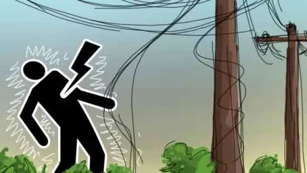 bdytyt-electric