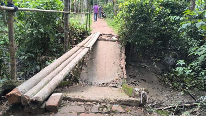 ভাঙা সেতুর ওপর সুপারিগাছ দিয়ে ঝুঁকিপূর্ণ পারাপার