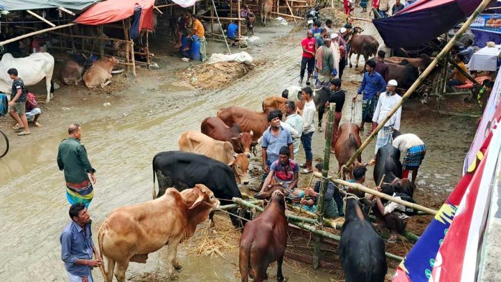 শেষ মুহূর্তে বিক্রির চাপে ব্যাপারীরা, দাম কমার অপেক্ষায় ক্রেতারা
