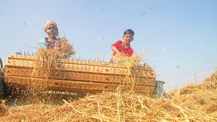 জাতীয় বাজেট ও কৃষকের প্রত্যাশা