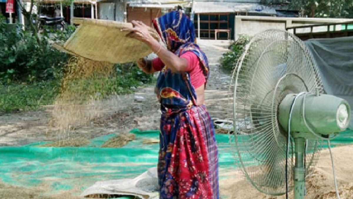 fan