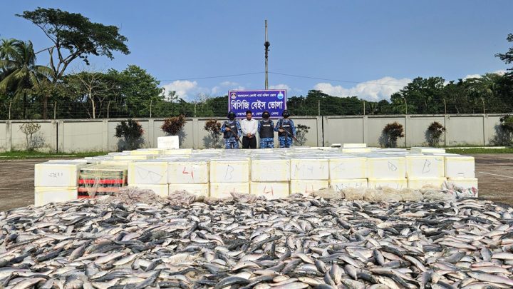 ভোলায় কোটি টাকার সামুদ্রিক ইলিশ জব্দ