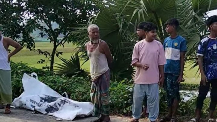 পলাশবাড়ীতে যাত্রীবাহী বাস খাদে পড়ে নারী নিহত, আহত ১০
