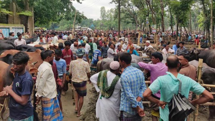 রৌমারী হাটে অতিরিক্ত হাসিল আদায়ের অভিযোগ, নীতিমালা লঙ্ঘনের দাবি