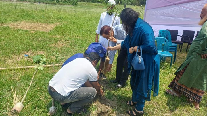 শিবচরে পদ্মাপাড়ে লাগানো হচ্ছে ১৩০০ চারাগাছ