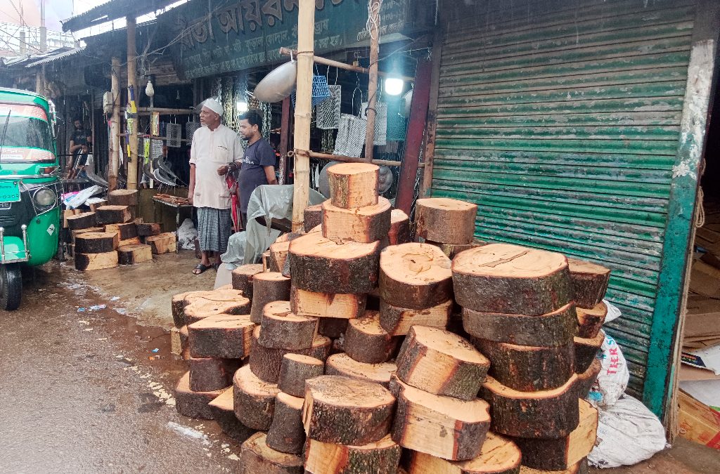 tetul-tree