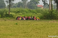 চৌকা সীমান্তে ২০ জনকে পুশ ইনের চেষ্টা, বিজিবির বাধায় ব্যর্থ বিএসএফ