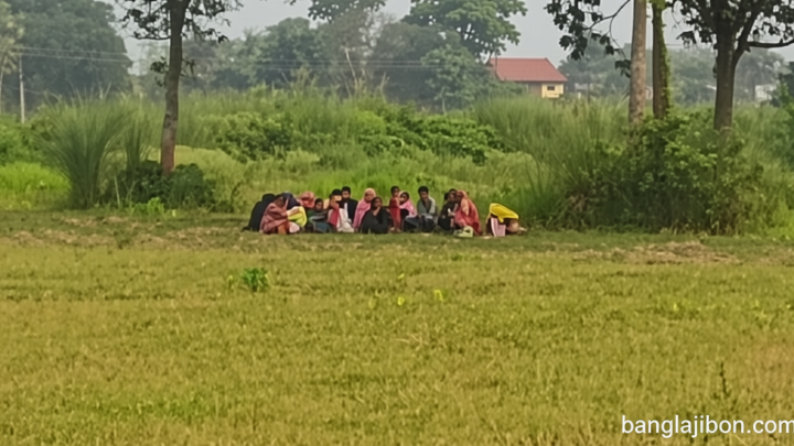 চৌকা সীমান্তে ২০ জনকে পুশ ইনের চেষ্টা, বিজিবির বাধায় ব্যর্থ বিএসএফ