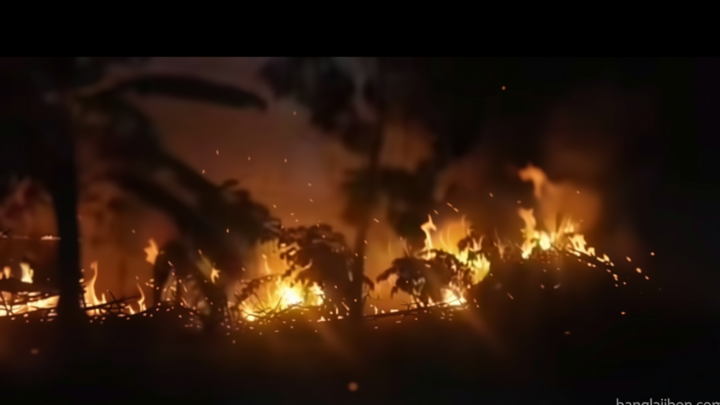 টাঙ্গাইলের গোপালপুরে সংঘর্ষ ও অগ্নিসংযোগে নিহত ১, আহত অন্তত ১৫