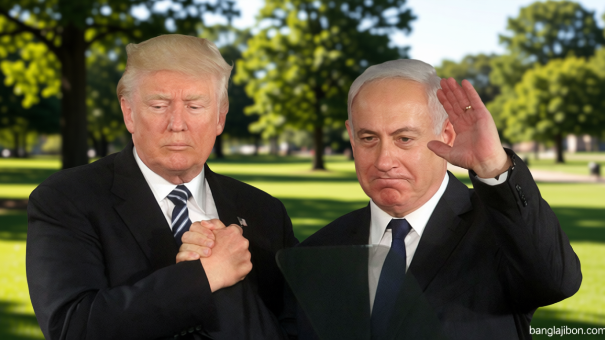 702e3589-6838-4466-9cb5-89b247ddba5b-0