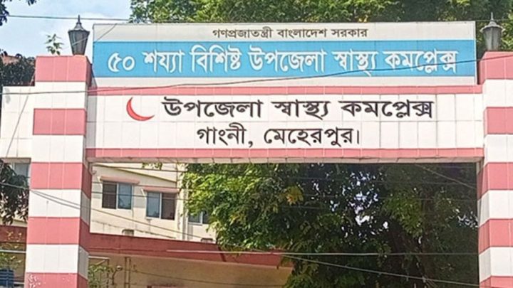 গাংনীতে কুকুরের কামড়ে আহত ১৭, ভ্যাকসিন নেই হাসপাতালে