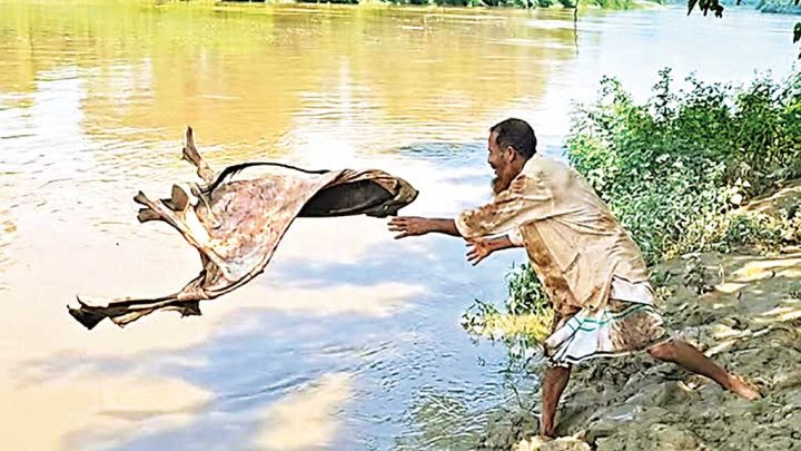 নদী-খালে কোরবানি পশুর চামড়া
