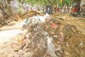 কোরবানির বর্জ্য অপসারণ: কথা রাখতে পারল না দুই সিটি