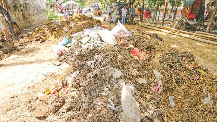 কোরবানির বর্জ্য অপসারণ: কথা রাখতে পারল না দুই সিটি