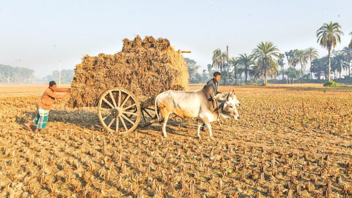 কৃষক কেন এখনো মহাজননির্ভর