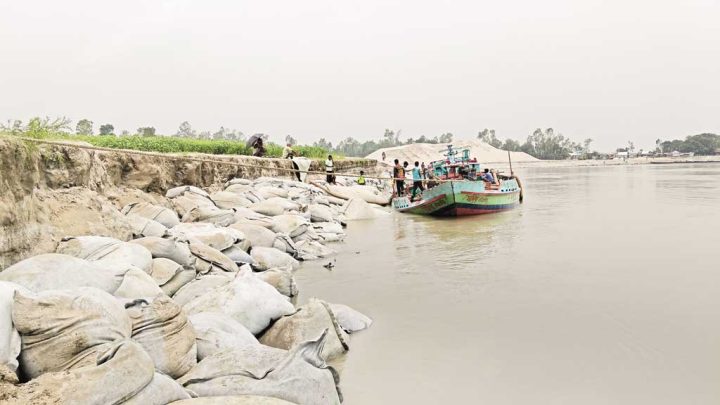 যমুনার ভাঙনের মুখে বাঁধ-ফসলি জমি