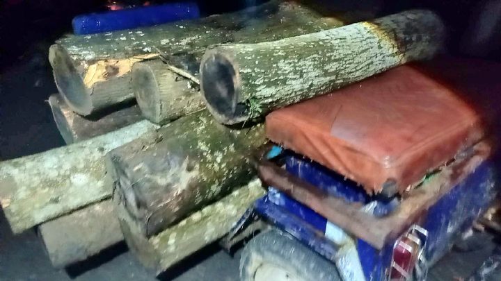 কমলগঞ্জে সংরক্ষিত বনভূমির গাছ চুরি, পরিবেশ বিপর্যয়ের আশঙ্কা