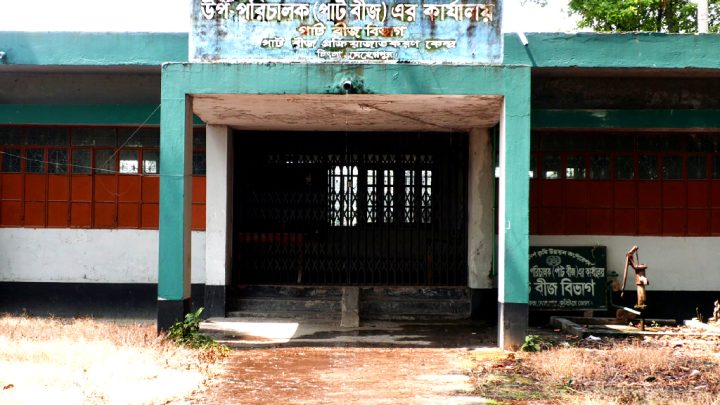 ভেজাল ও নিম্নমানের পাটবীজে ক্ষতিগ্রস্ত চাষি,অভিযোগ বিএডিসির বিরুদ্ধে