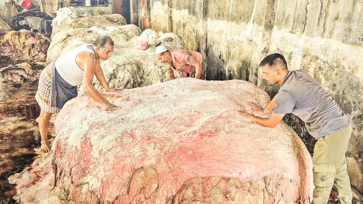 দেশের চামড়াশিল্পে সম্ভাবনা ও সংকট