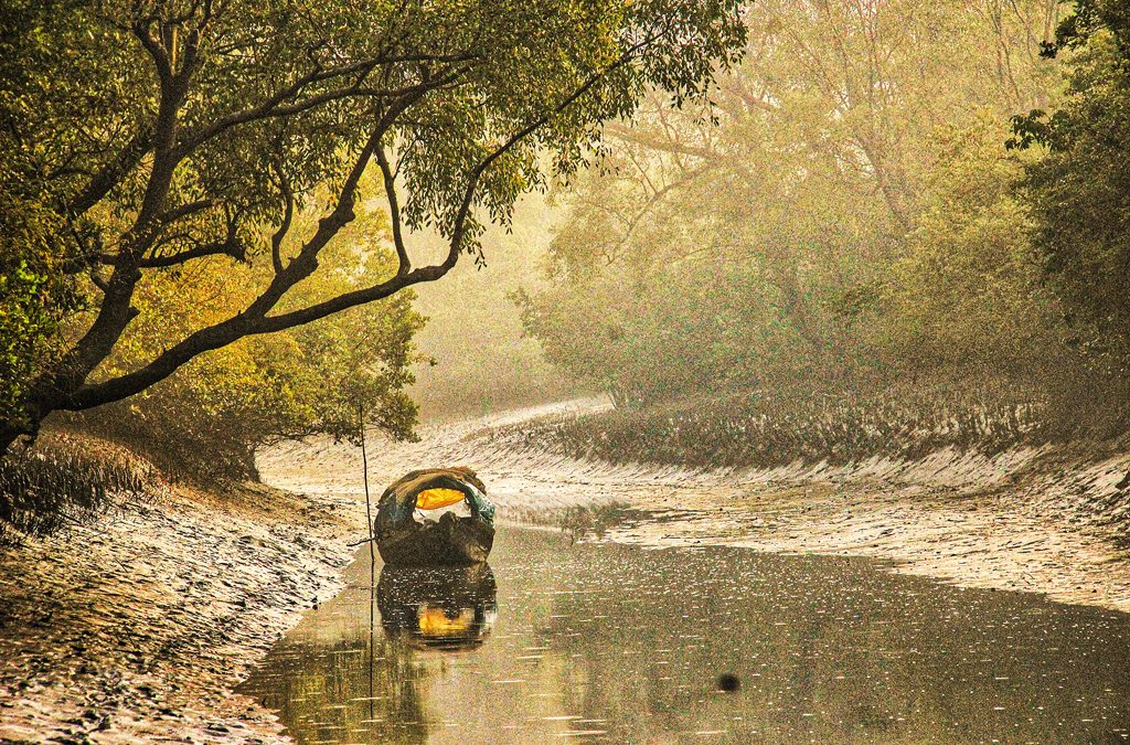 sundarban_TUAdK2s