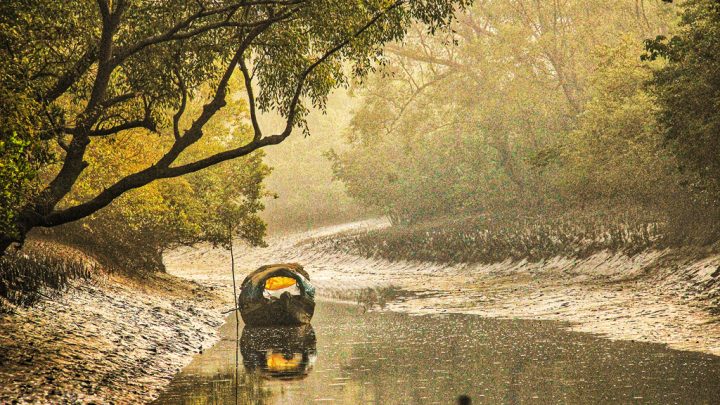 জীববৈচিত্র্য ধ্বংসে বাংলাদেশের ঋণমান কমতে পারে ৬ ধাপ, বাড়তে পারে ঋণের বোঝা: গবেষণা