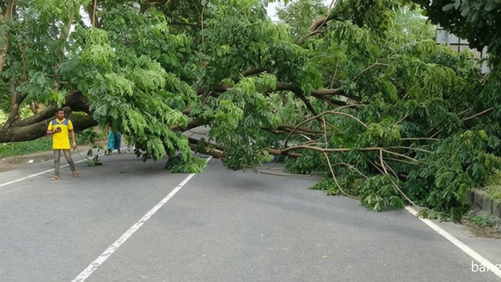 সীতাকুণ্ডে গাছ কেটে মহাসড়ক অবরোধের ঘটনায় ৮০ জনের বিরুদ্ধে মামলা, গ্রেপ্তার ২
