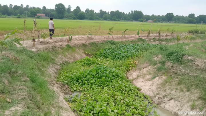 তালোড়া বাইগুনি খাল: খননে অনিয়ম, শ্রমিকের তালিকায় বিত্তবানেরা