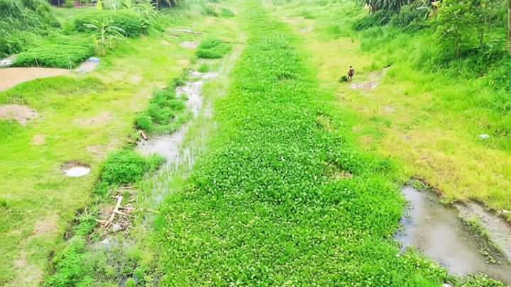 সাটুরিয়ার গাজীখালী: খননেও মেলেনি নদীর সুফল