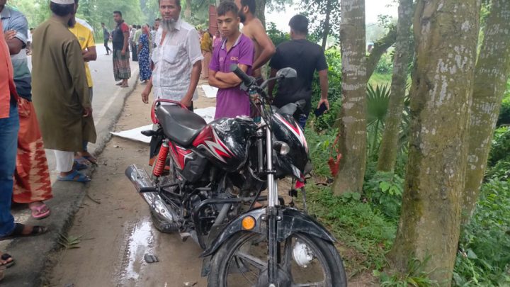 ডাক্তার দেখাতে যাওয়ার পথে পিকআপের ধাক্কায় মা-ছেলে নিহত, আহত স্বামী