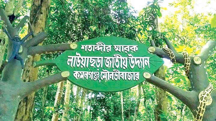 প্রাণবৈচিত্র্য, সুরক্ষা ও ন্যায়বিচার