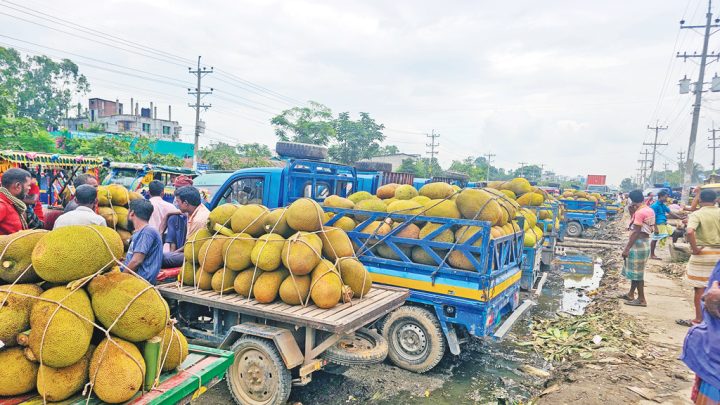 গাজীপুরের কাঁঠাল: লক্ষ্য এবার বিদেশের বাজার