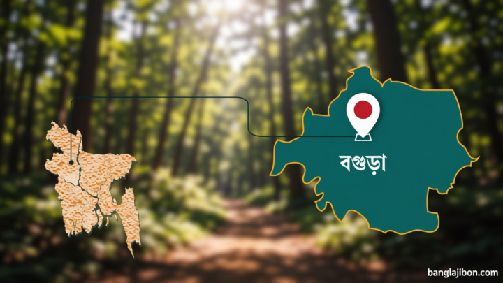 পাউরুটি খেয়ে অসুস্থ হয়ে মৃত্যু, মামলা জুলাই হত্যাকাণ্ডের