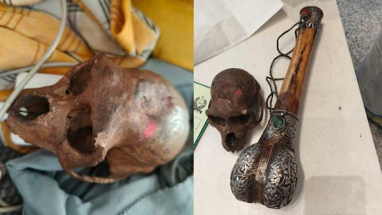 monkey-skull-delhi-airport-ajker-patrika
