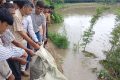 পীরগঞ্জে টাঙ্গন নদের ভাঙন রোধে জিও ব্যাগ ফেলা শুরু