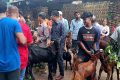 মনসা পূজা ঘিরে জমজমাট রাইখালী ছাগলের হাট, পাহাড়ি ছাগলের কদর বেশি