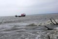 বঙ্গোপসাগরে ট্রলারডুবি, ১৪ জেলে জীবিত উদ্ধার